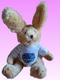 Plush bunny