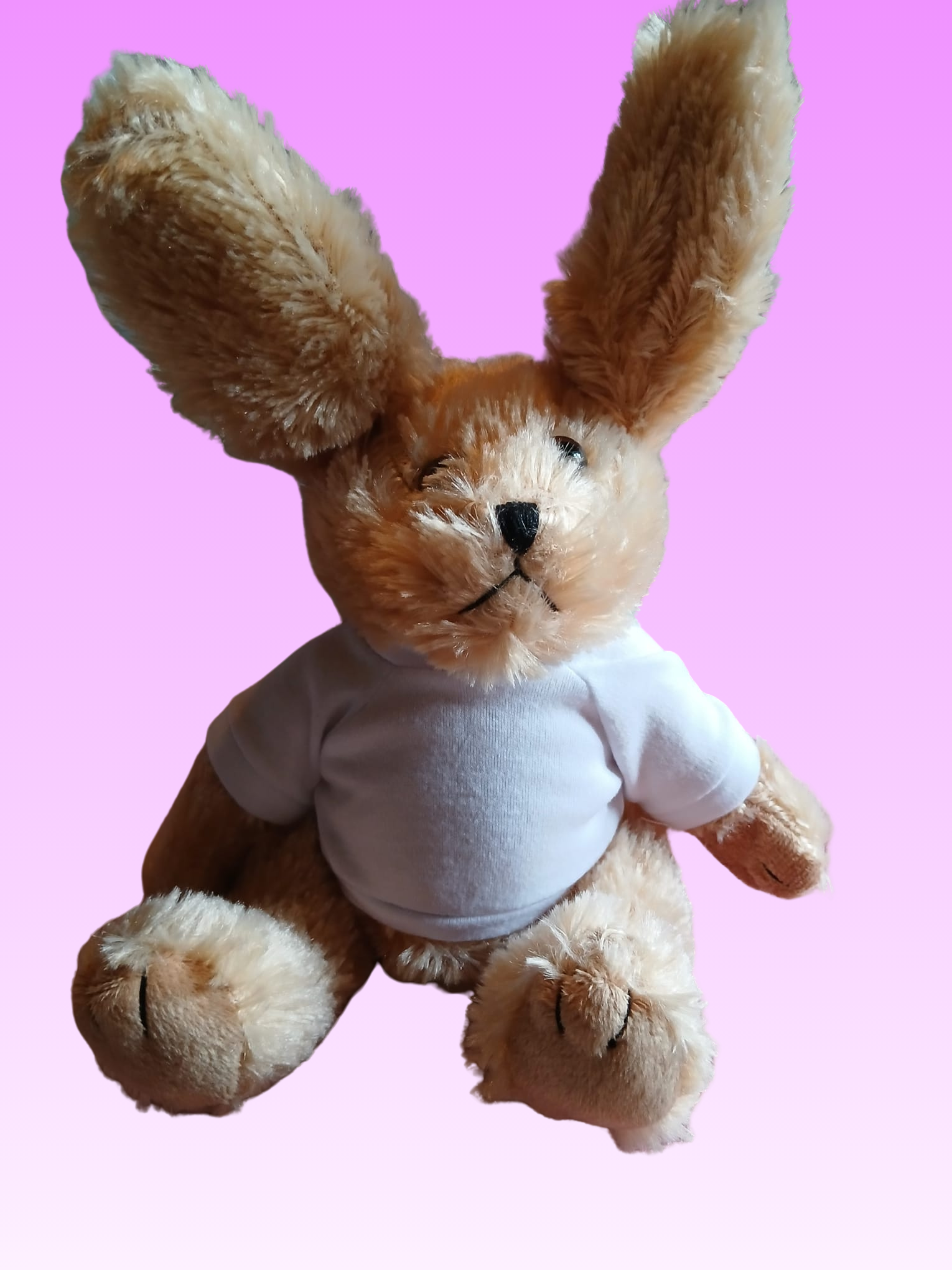 Peluche lapin